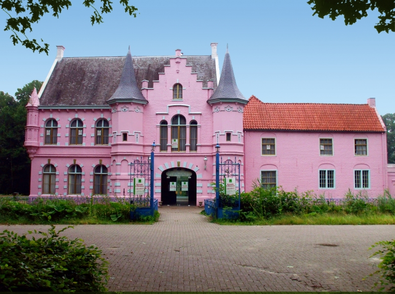 Antikraak wonen in het roze kasteel?